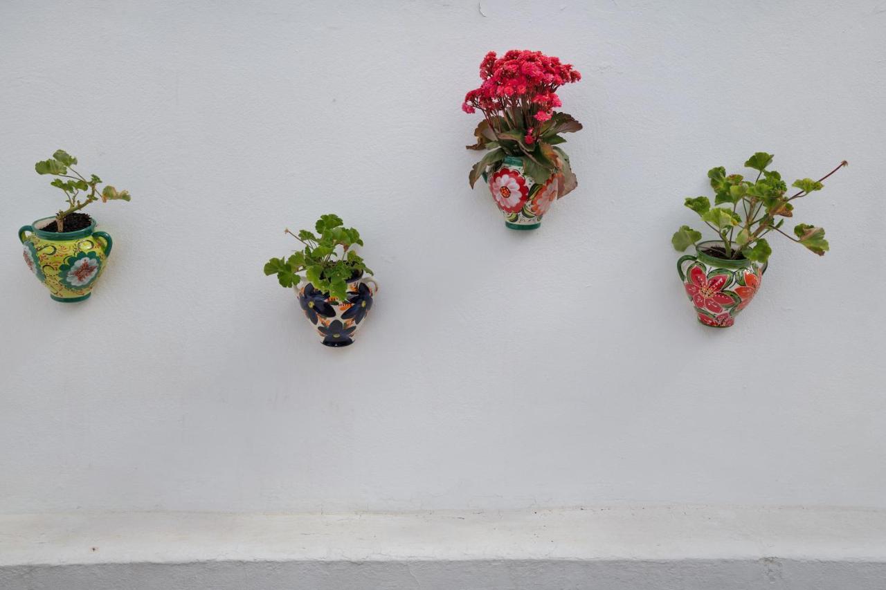 Casa Gofio Apartment ปูแอร์โตเดลคาร์เมน ภายนอก รูปภาพ
